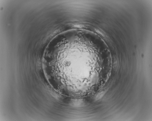 X0000062140469200512091219