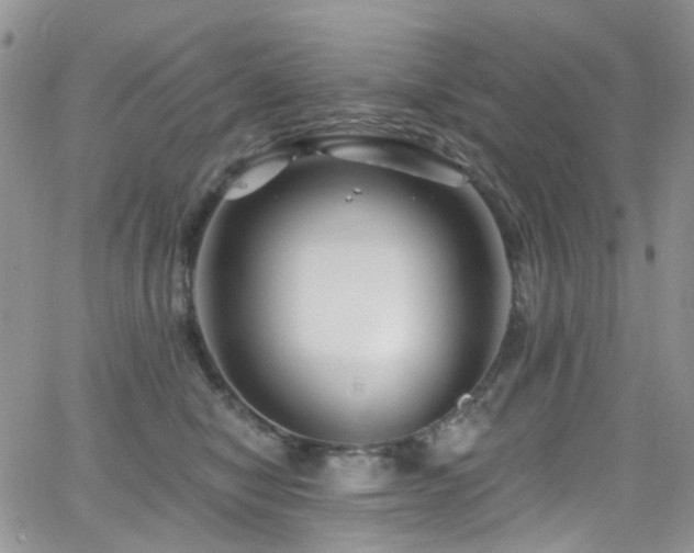 X0000062140470200512091219