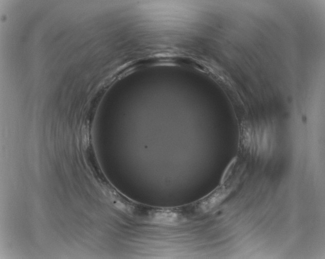 X0000062140471200512091219