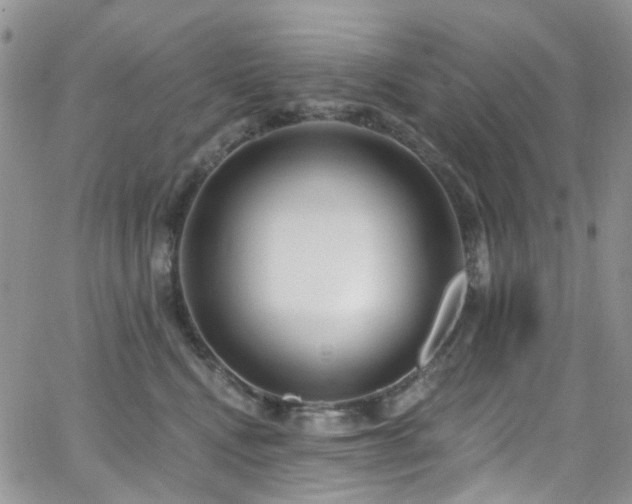 X0000062140472200512091219