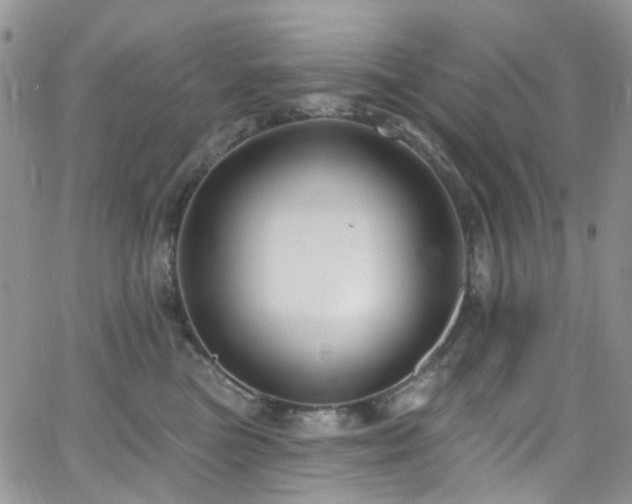 X0000062140473200512091220