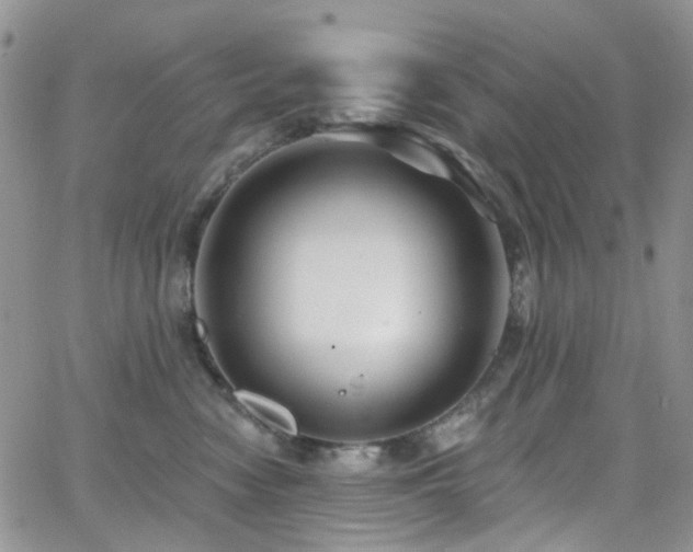 X0000062140474200512091220