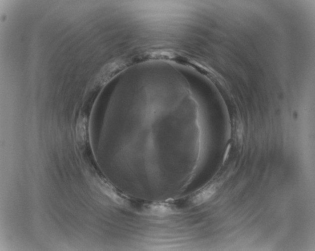 X0000062140475200512091220