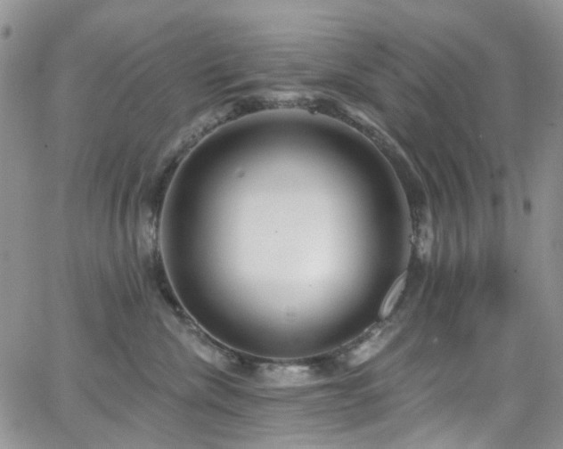 X0000062140476200512091220