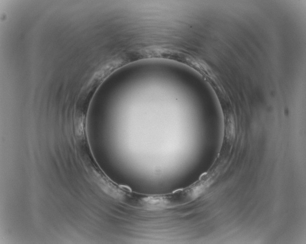 X0000062140477200512091220