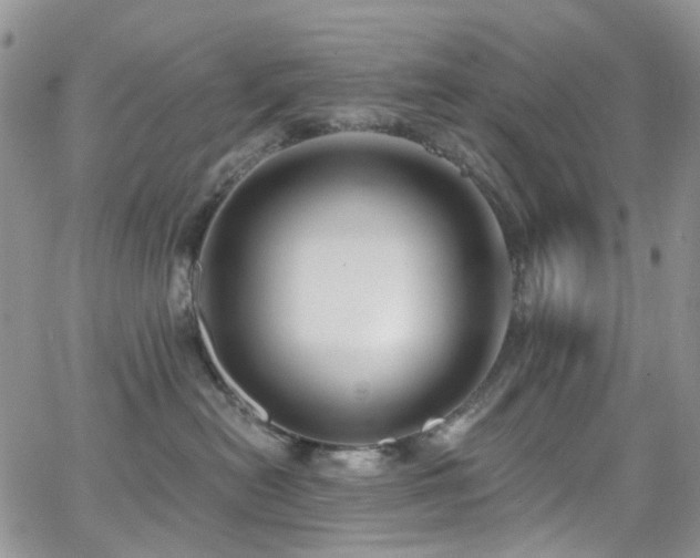 X0000062140478200512091220