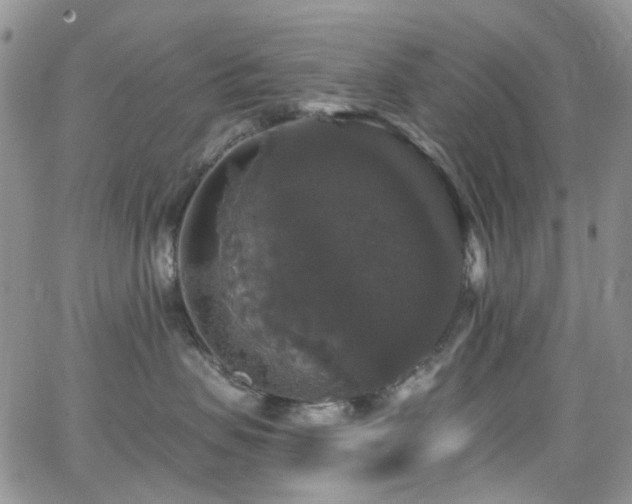 X0000062140479200512091220