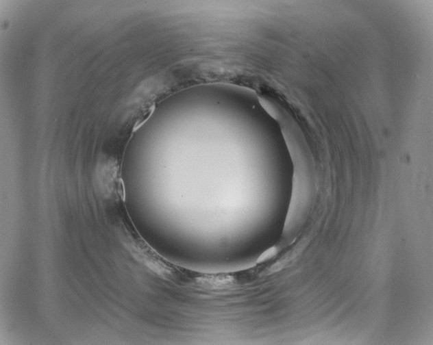 X0000062140480200512091220