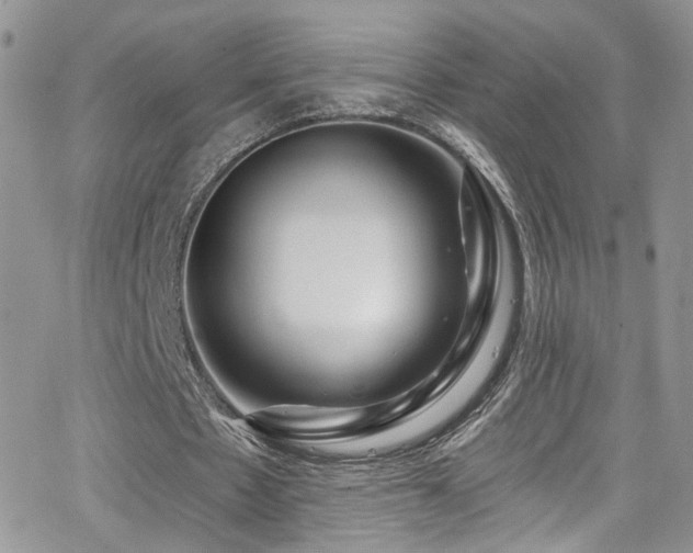 X0000062140481200512091219