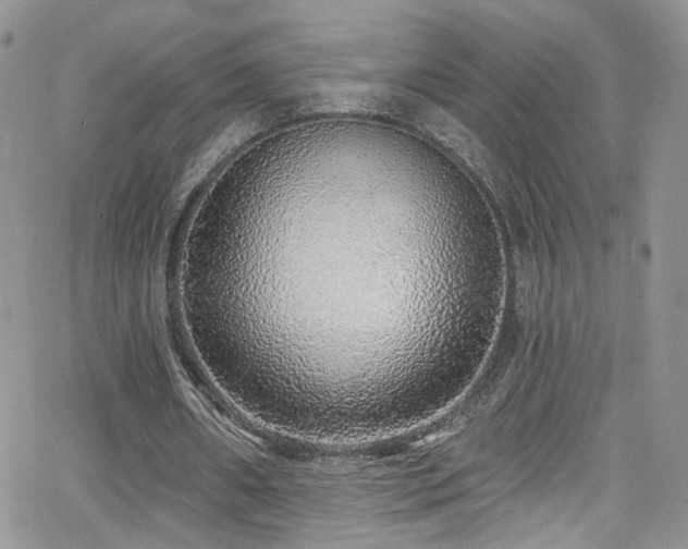 X0000062140482200512091219