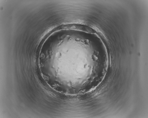 X0000062140483200512091219