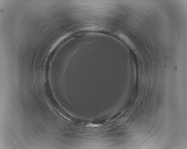 X0000062140484200512091219