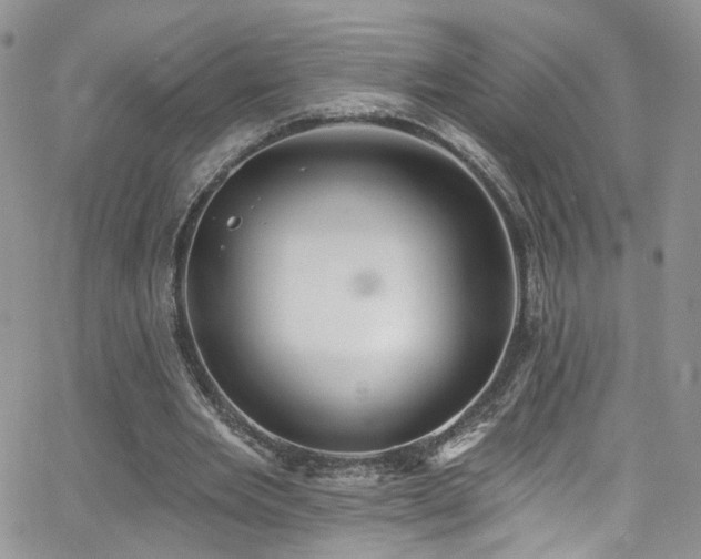 X0000062140485200512091219