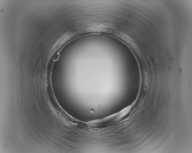 X0000062140486200512091219