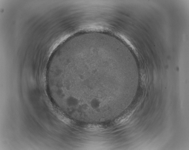 X0000062140487200512091219