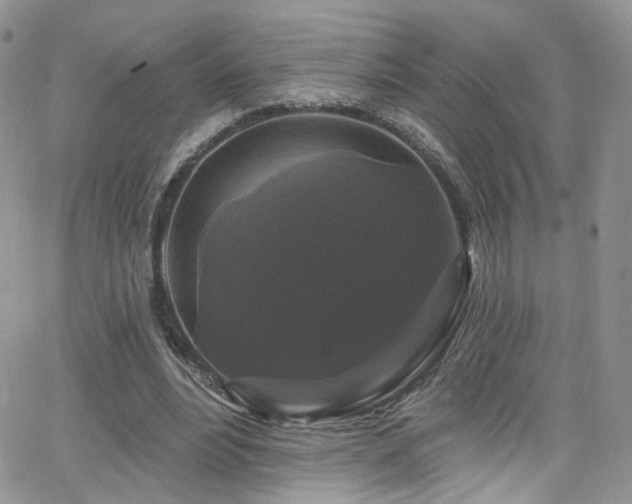 X0000062140488200512091219