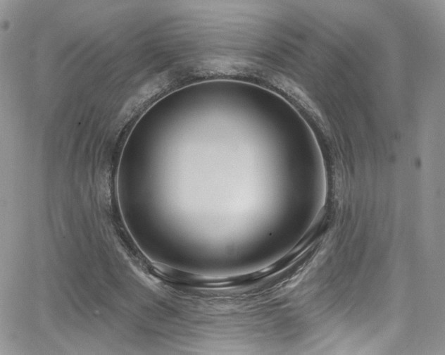 X0000062140489200512091219