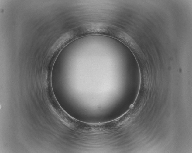 X0000062140490200512091219