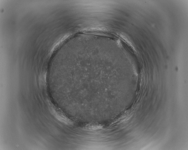 X0000062140491200512091219