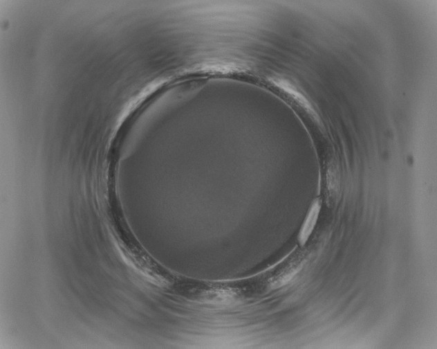 X0000062140492200512091219