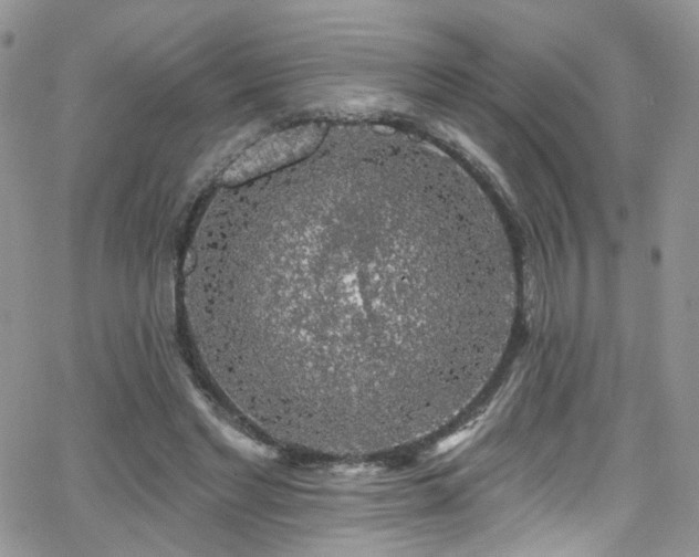 X0000062140493200512091219