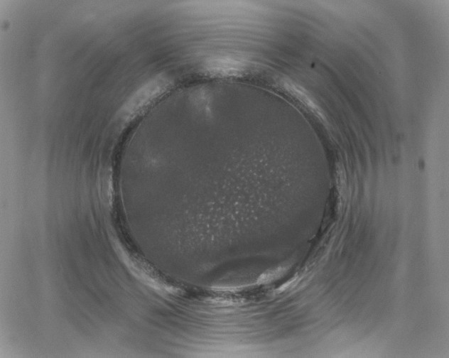 X0000062140494200512091219