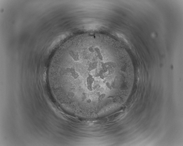 X0000062140495200512091219