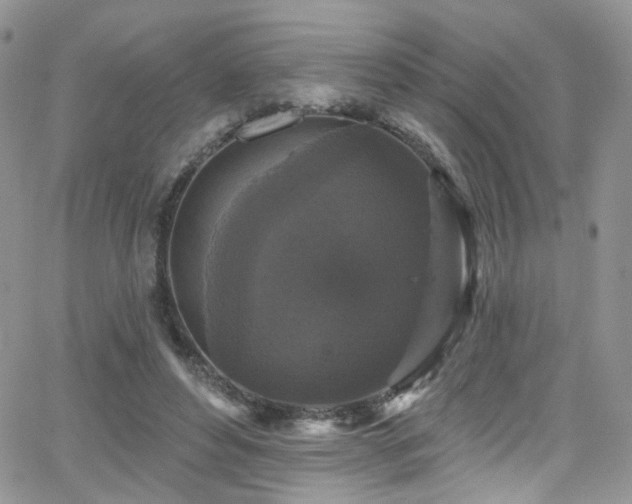 X0000062140496200512091219