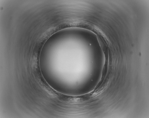 X0000062140497200512091219