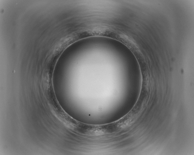 X0000062140498200512091219