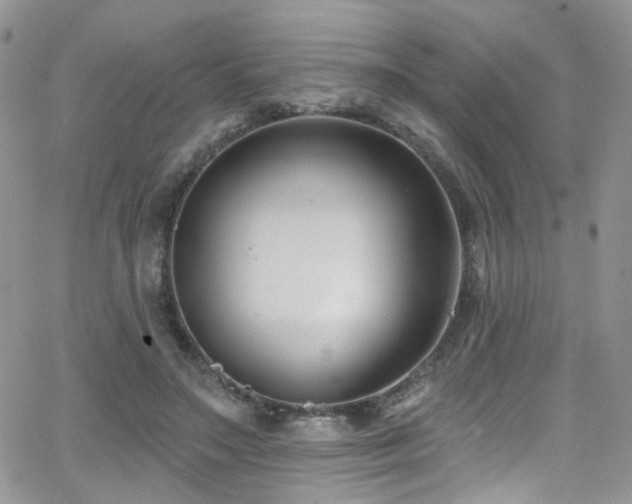 X0000062140499200512091219