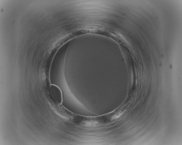 X0000062140500200512091219