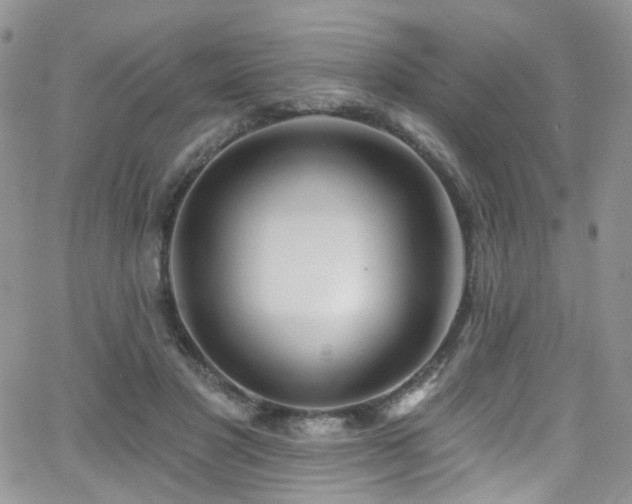 X0000062140501200512091219