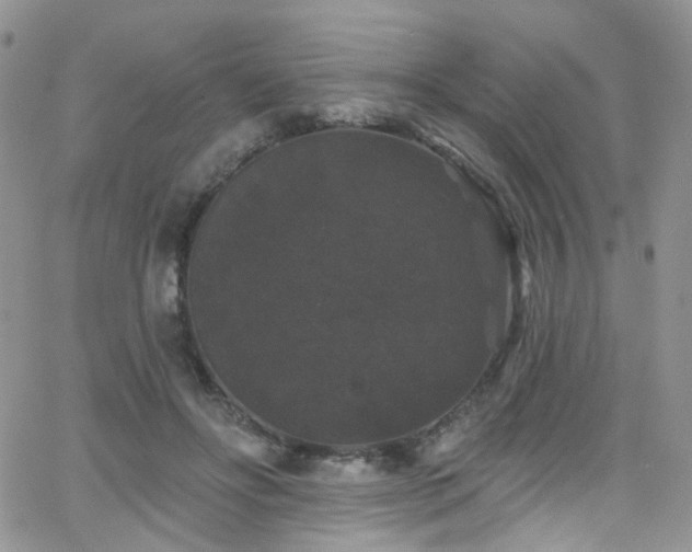 X0000062140502200512091218