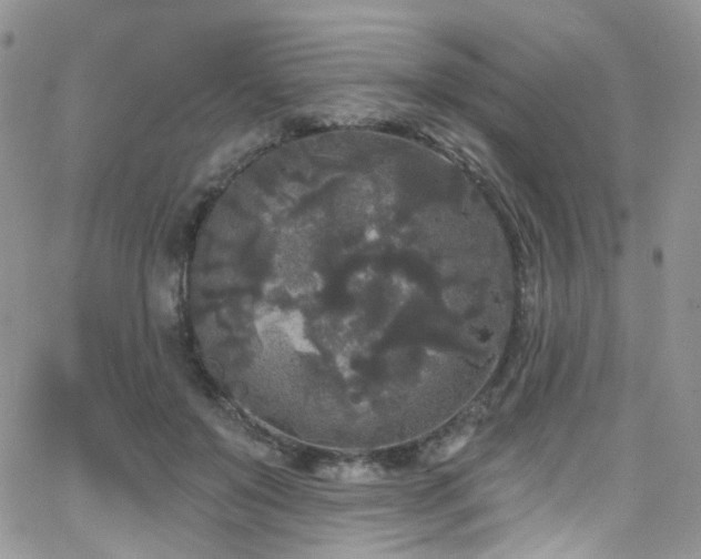 X0000062140503200512091218