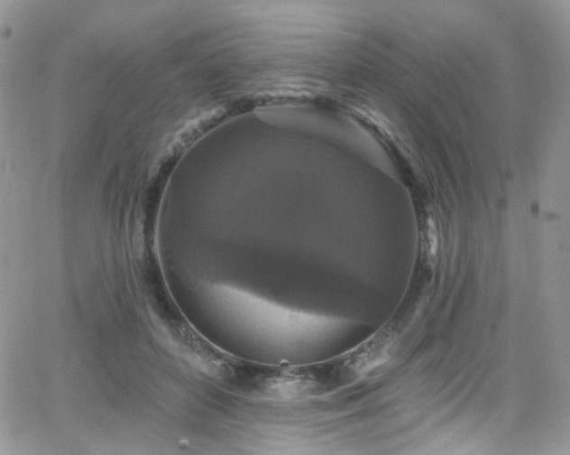 X0000062140504200512091218