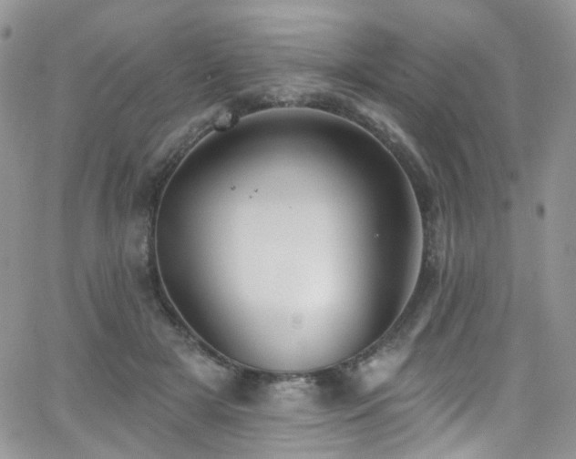 X0000062140505200512091218