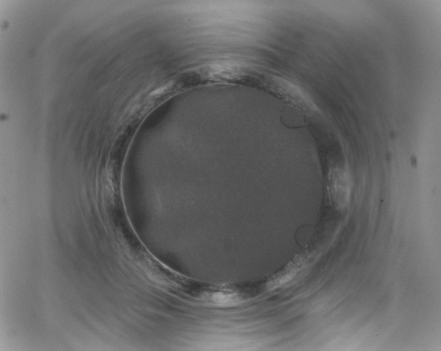 X0000062140506200512091218