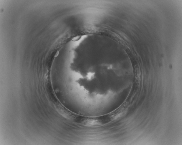 X0000062140507200512091218