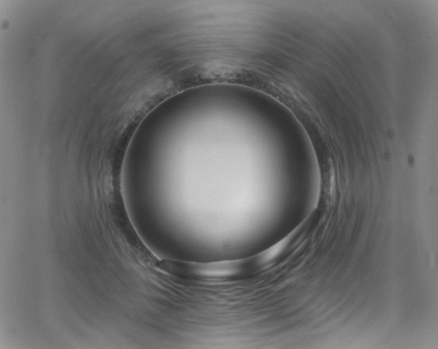 X0000062140508200512091218