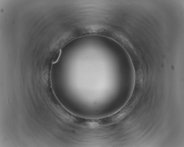 X0000062140509200512091218