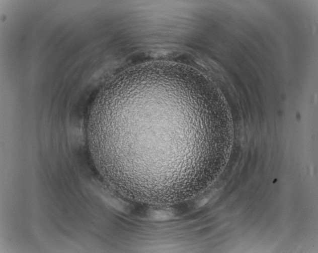 X0000062140510200512091218