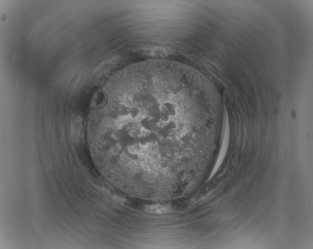 X0000062140511200512091218