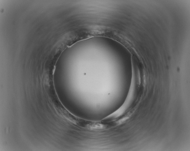 X0000062140512200512091218