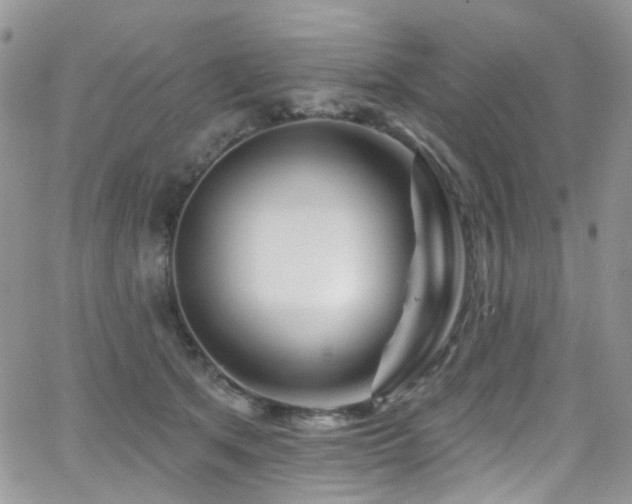 X0000062140513200512091218