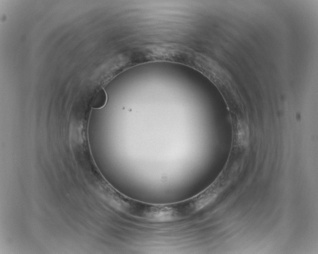 X0000062140514200512091218