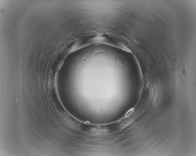 X0000062140515200512091218