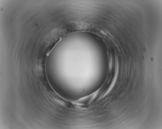 X0000062140516200512091218