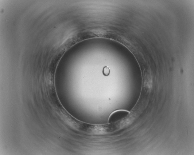 X0000062140518200512091218