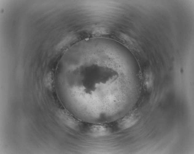 X0000062140519200512091218